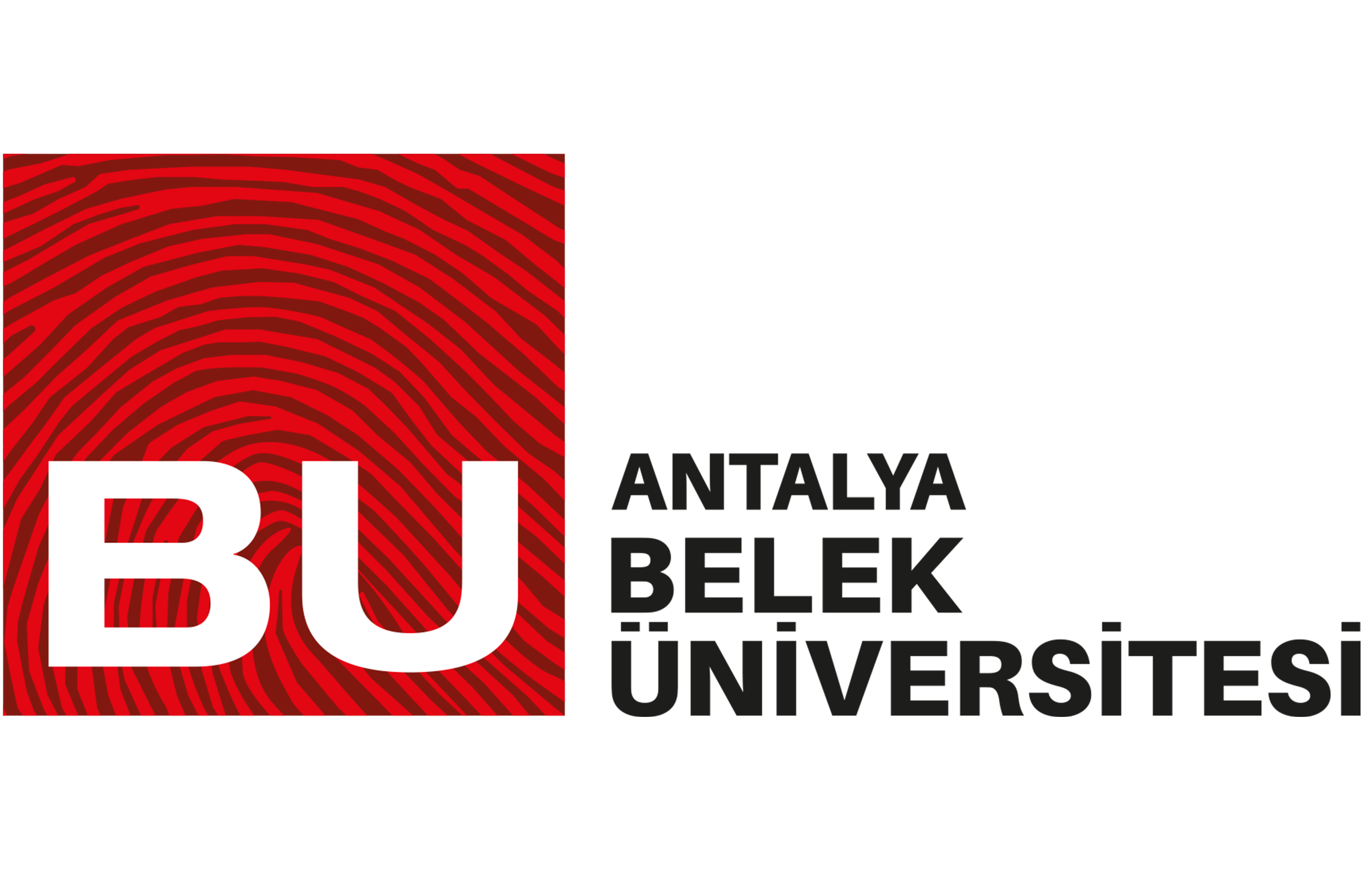 areas danışmanlık